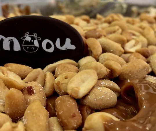 Moou Gelateria Artigianale